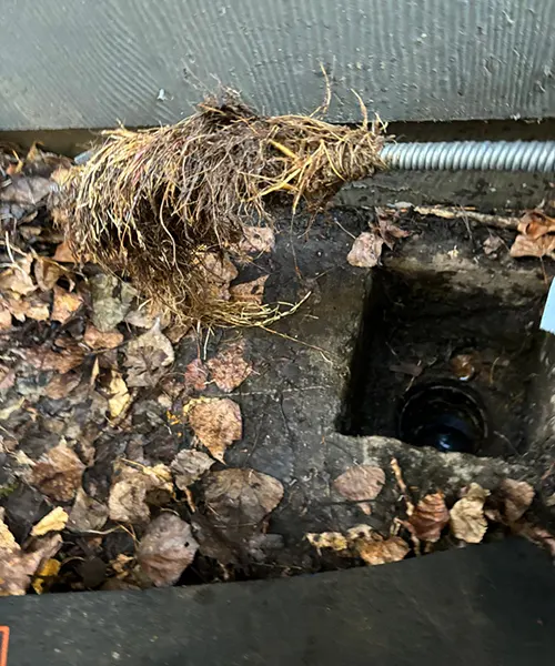 Side sewer spot repair and clean out installation in Shoreline 